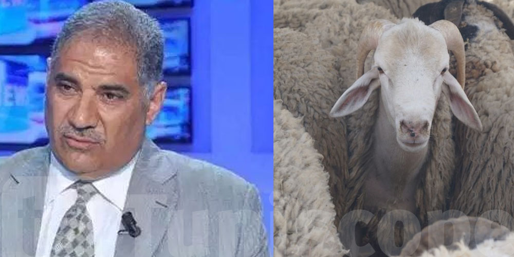 Lotfi Riahi : Quelles alternatives pour répondre à la demande croissante en moutons ?