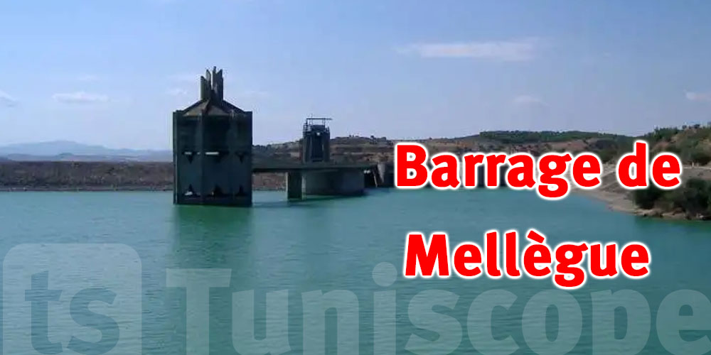 Barrage de Mellègue : La fin des travaux est prévue pour 2025 