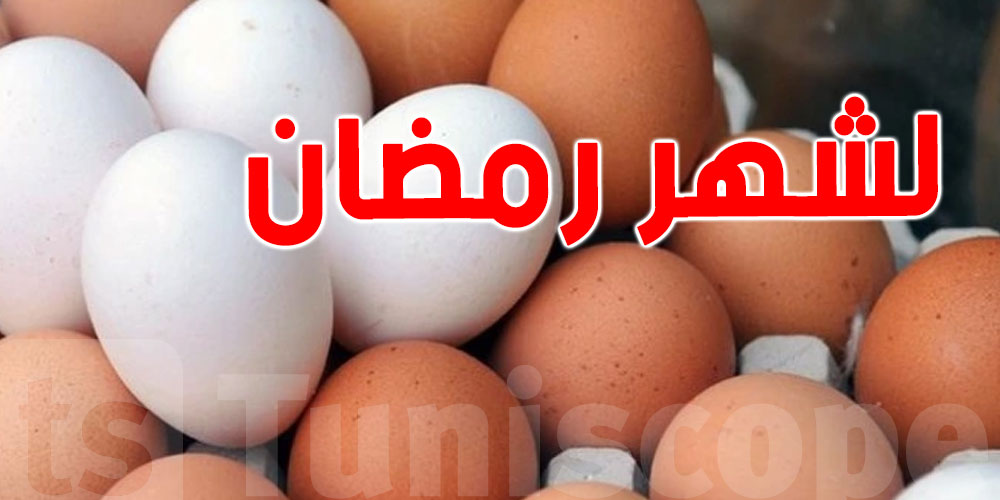 يكثر استهلاكه في رمضان: كم يحتوي البيض على بروتين؟