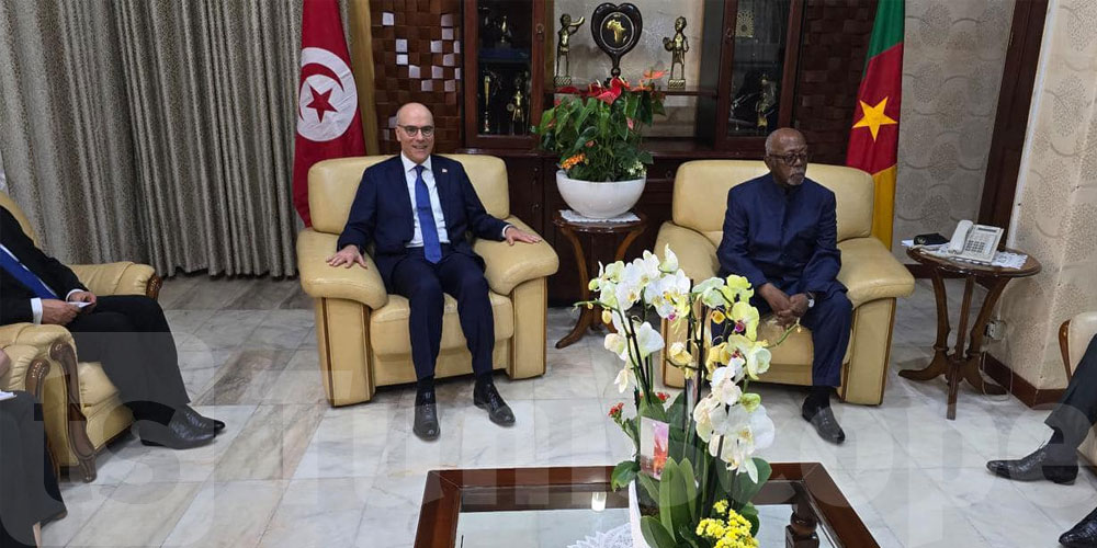 ماذا في لقاء وزير الخارجية بنظيره الكاميروني؟