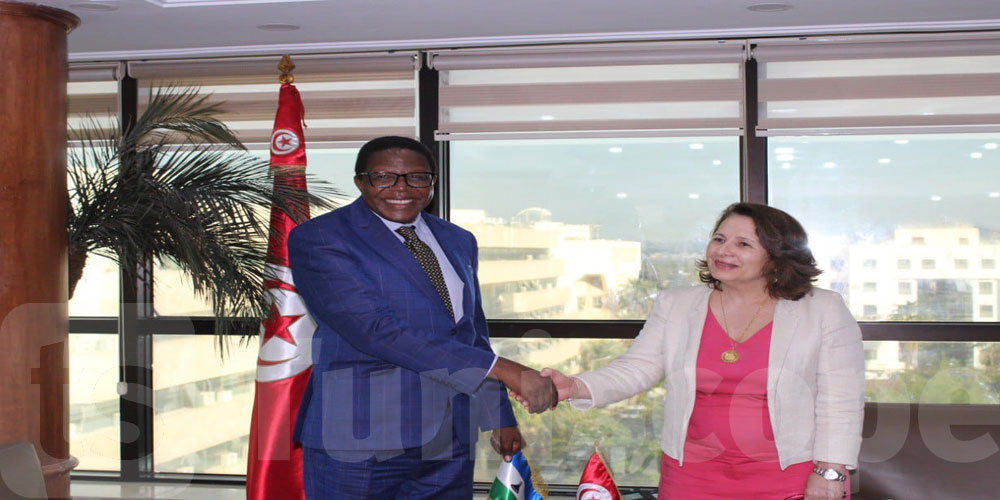 نحو تعزيز التعاون بين تونس ومملكة ليسوتو في مجال الكهرباء 
