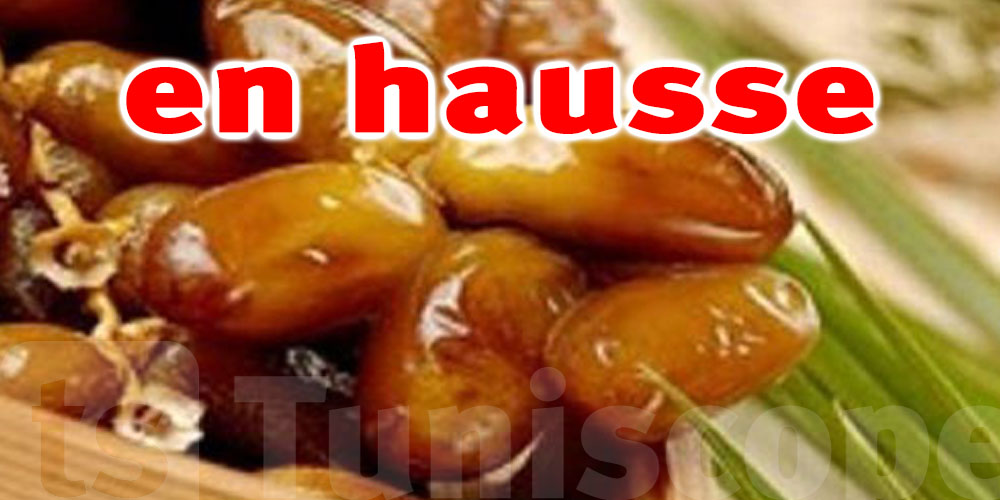 Récolte record de dattes en Tunisie