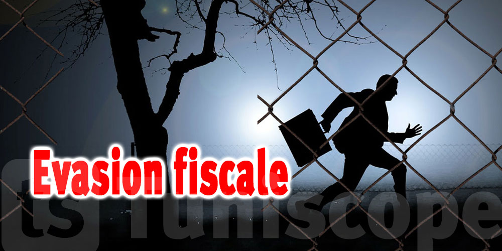 Loi De Finances Finie L Vasion Fiscale