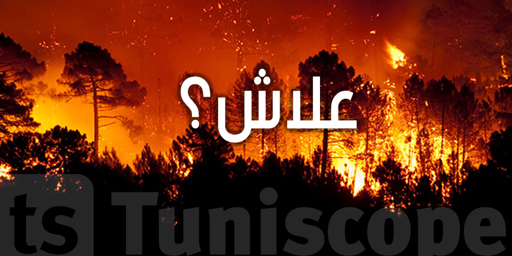 الحرارة تعدت 40°… والحرائق تهدد آلاف الناس...كيفاش؟