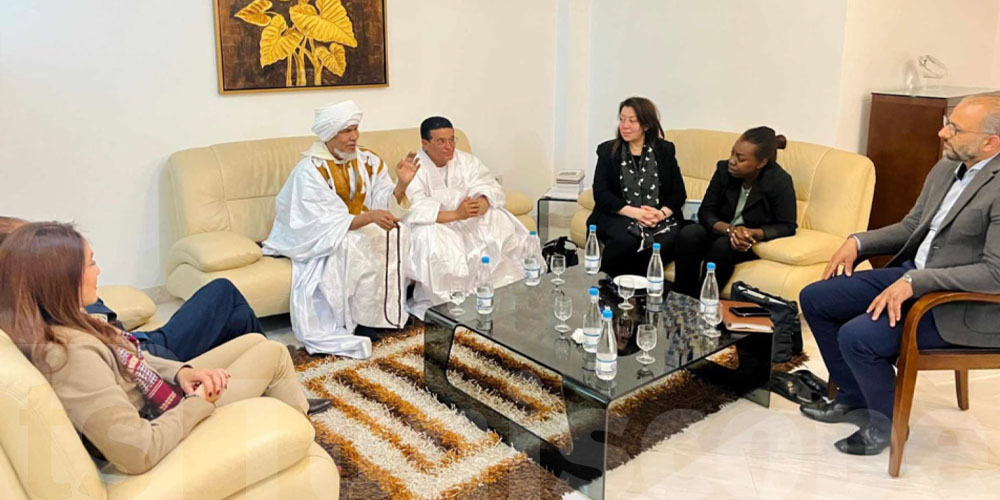 تعاون بين المحكمة الدولية الدائمة للتحكيم و التجمع الثقافي بموريتانيا