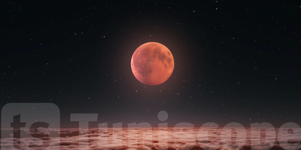 Le ciel en spectacle : éclipse solaire partielle ce 21 septembre