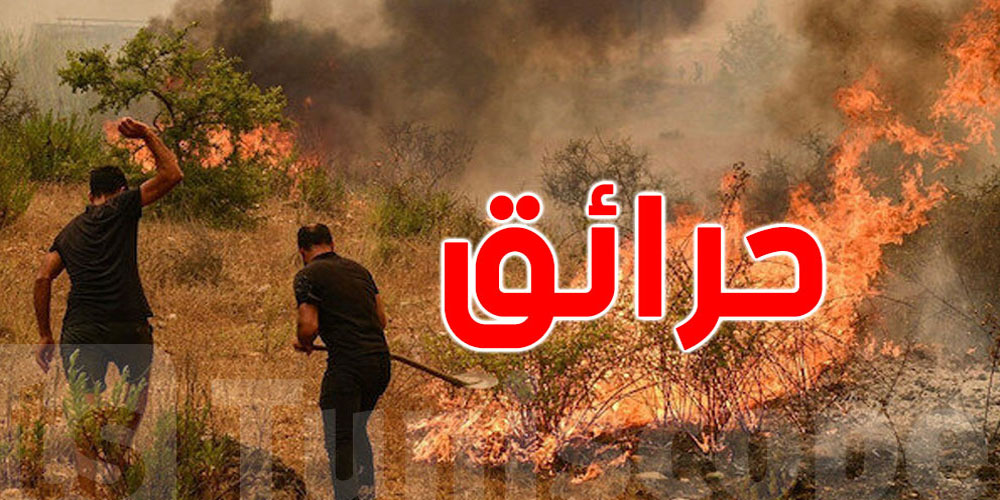 عاجل: دون خسائر بشرية: 3 حرائق متزامنة في المهدية