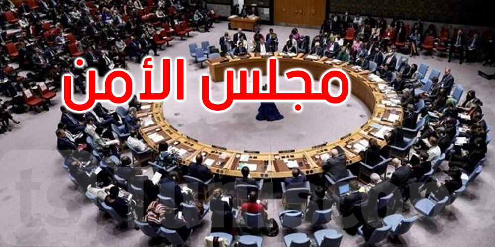 عاجل: مجلس الأمن يصوت لصالح خطة المغرب للحكم الذاتي في الصحراء الغربية