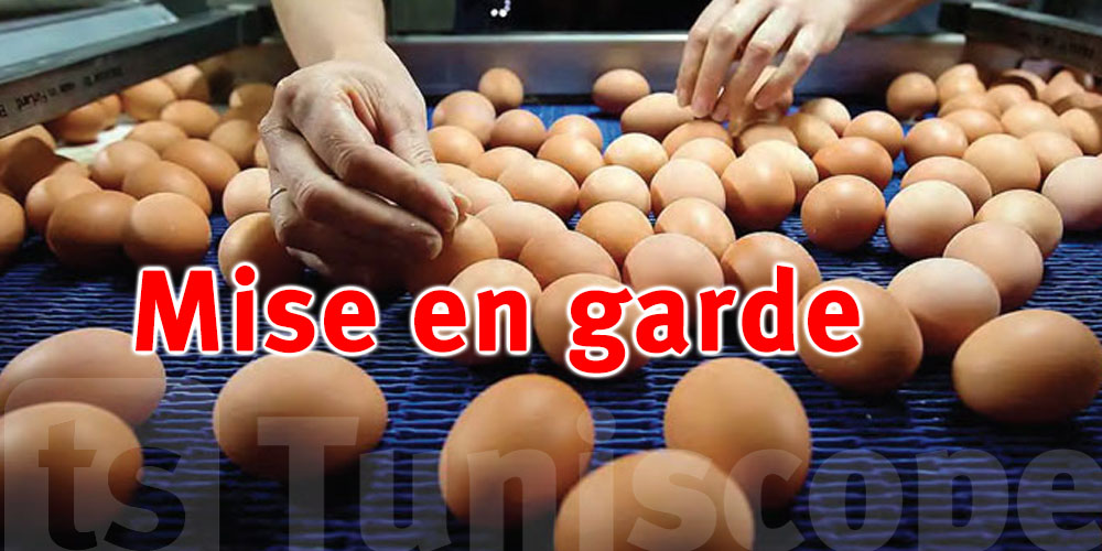 Les œufs de contrebande algériens menacent la sécurité alimentaire en Tunisie
