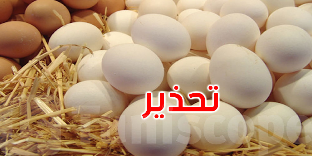 جمعية منتجي بيض الاستهلاك تحذّر من بيض مهرّب قد يحمل انفلونزا الطيور