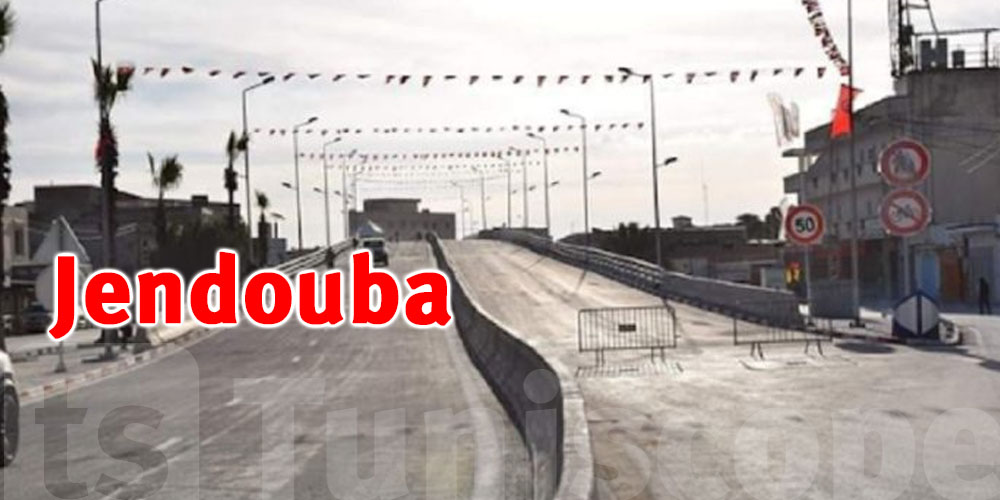 Avancement de 70% des travaux de construction du pont d’Oued Mèllegue