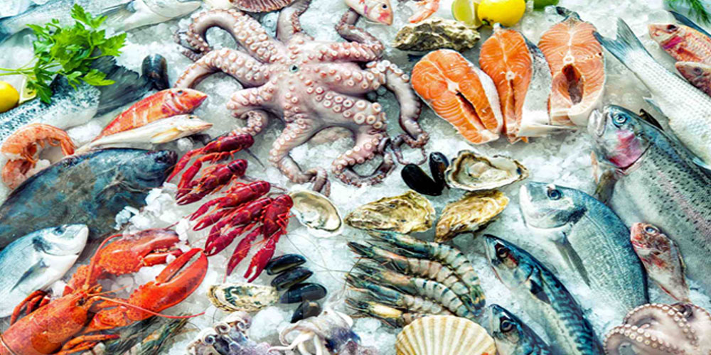 Les produits de la mer tunisiens exposés au Seafood Expo 2024 à Barcelone