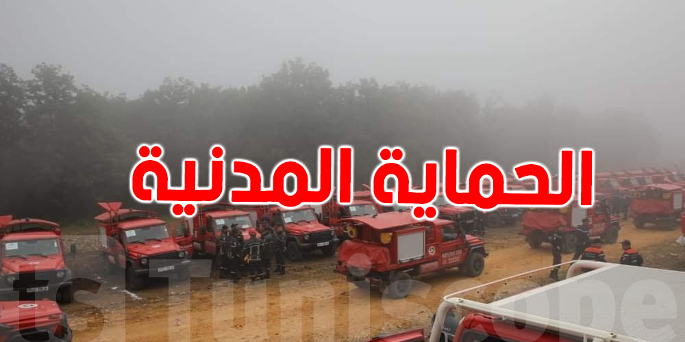 مناورة تطبيقية تونسية جزائرية  حول إخماد الحرائق
