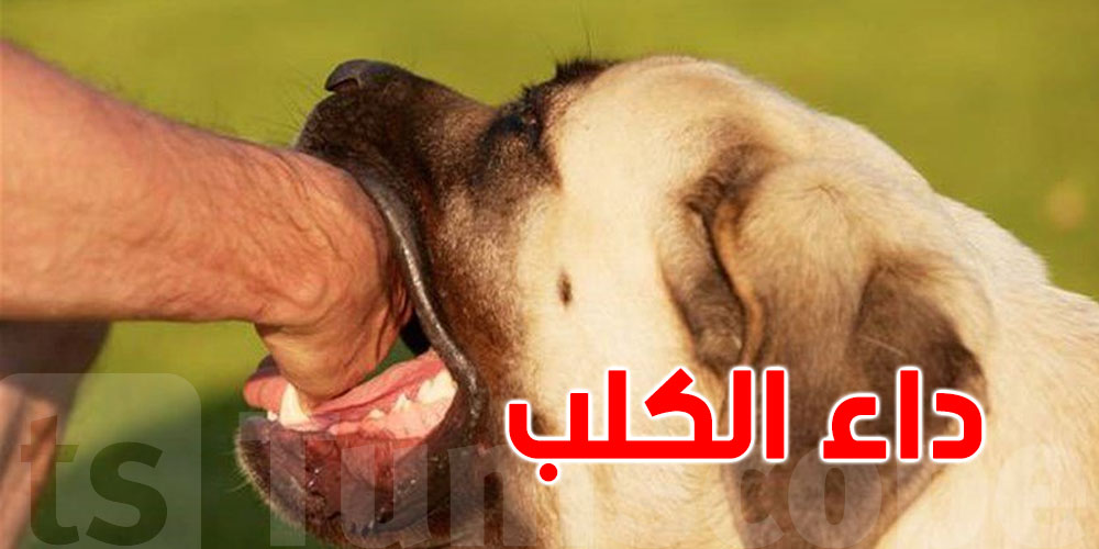 بالأرقام: داء الكلب آفة تُهدّد حياة المواطنين في تونس