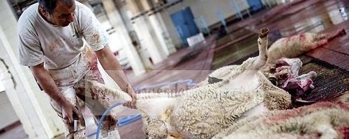 Viandes et Boucheries : 136 dépassements enregistrés 