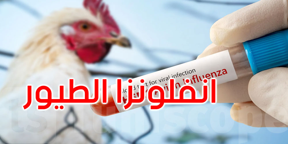 إنفلونزا الطيور تضرب ألمانيا مجدداً: إعدام 400 ألف طائر بعد تفشي الفيروس