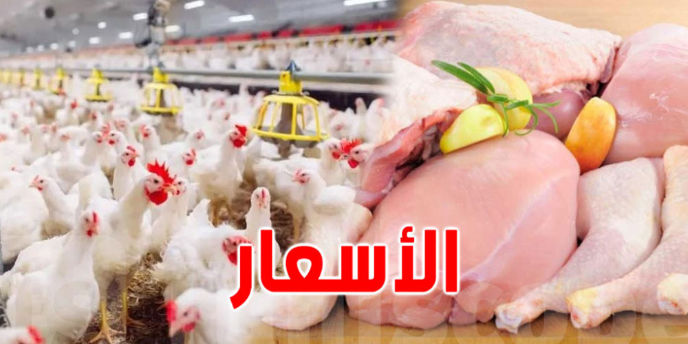 انخفاض أسعار الدجاج والبيض