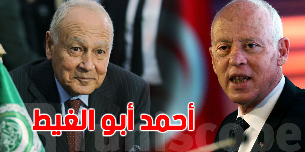 بالفيديو: أبو الغيط ”تونس تسير على الطريق الصحيح وقيس سعيد شجاع” بالفيديو: أبو الغيط ”تونس تسير على الطريق الصحيح وقيس سعيد شجاع”