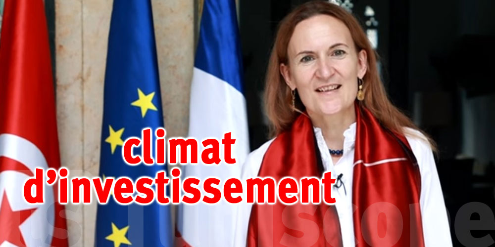 L’ambassadrice de France : ''La Tunisie offre un climat d’investissement attractif''