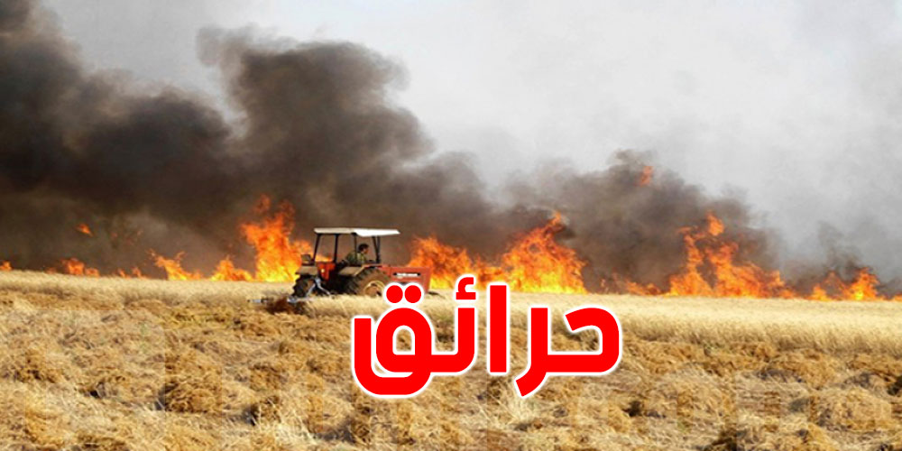 موجة الحر والحرائق تهدد محصول الحبوب في تونس