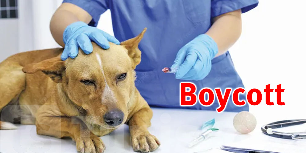 Vétérinaires : Maintien du boycott face au mandat sanitaire