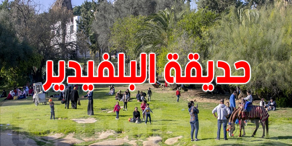 هذا موعدها: ''حملة يد يد البلفيدير يتقدّ'' بتونس