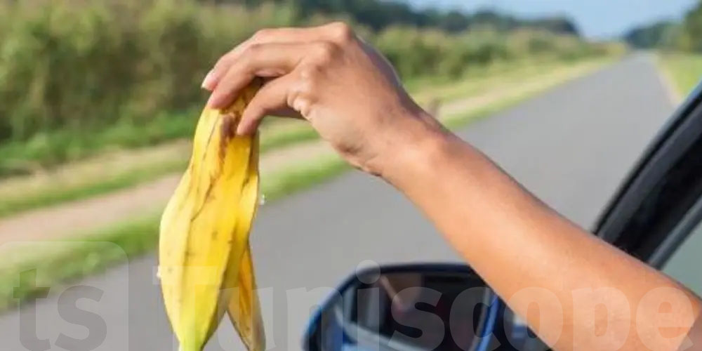 التوانسة يخرّجوا 4 ملايين طنّ من الفضلات كل عام