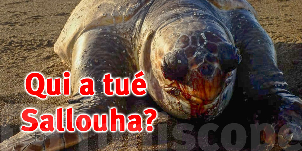 Sauvez Les tortues de mer..pour sauver nos plages