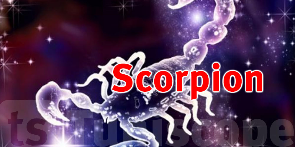 Scorpion en 2026 : force silencieuse et nouveaux départs