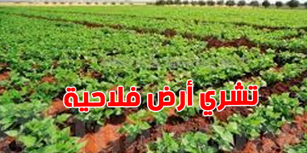 تشري أرض فلاحية؟ راهي المعدات والحيوانات يتباعوا معاها في الحالة هذه