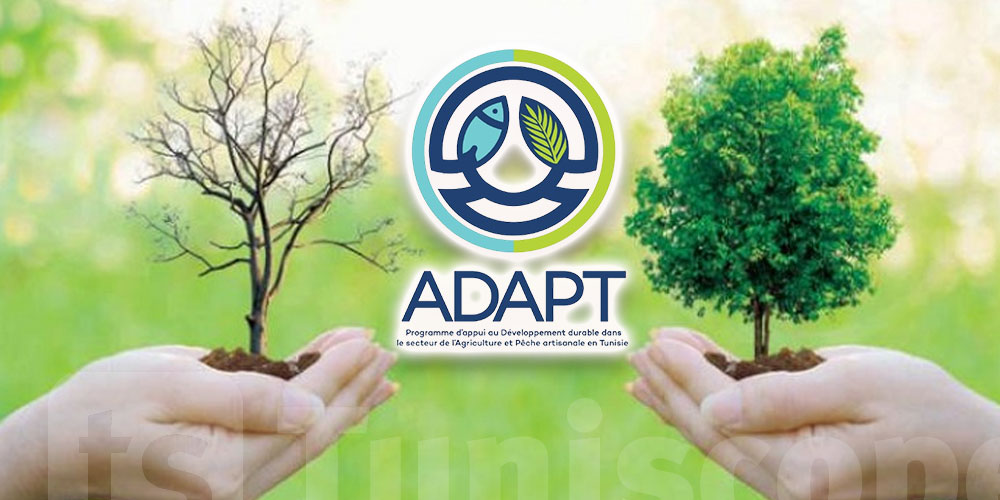 Investir aujourd'hui pour la transition agroécologique : ADAPT lance une série de journées d'information pour accompagner les candidats à son Fonds d'appui Invest.