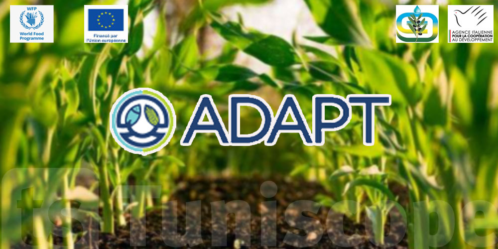 Phase deux du Fonds d’appui ADAPT Invest : un nouvel élan pour l'agriculture et  la pêche durables en Tunisie 