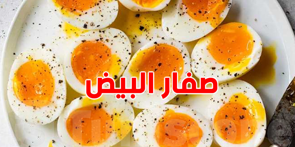 صفار البيض: السر الطبيعي لرفع فيتامين ''د'' عندك!