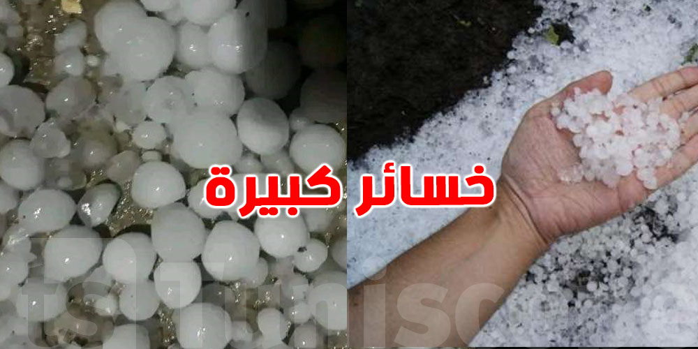أمطار وبَرَدْ دمّرت الموسم: الزيتون والفزدق والتفاح شنيا صار؟!