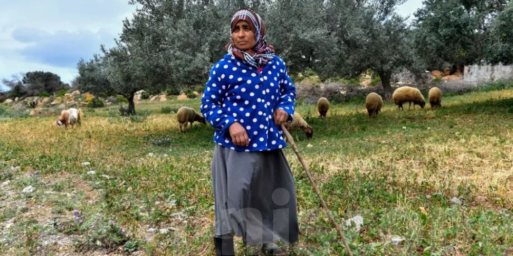 Intempéries : appel à protéger le bétail et le matériel agricole