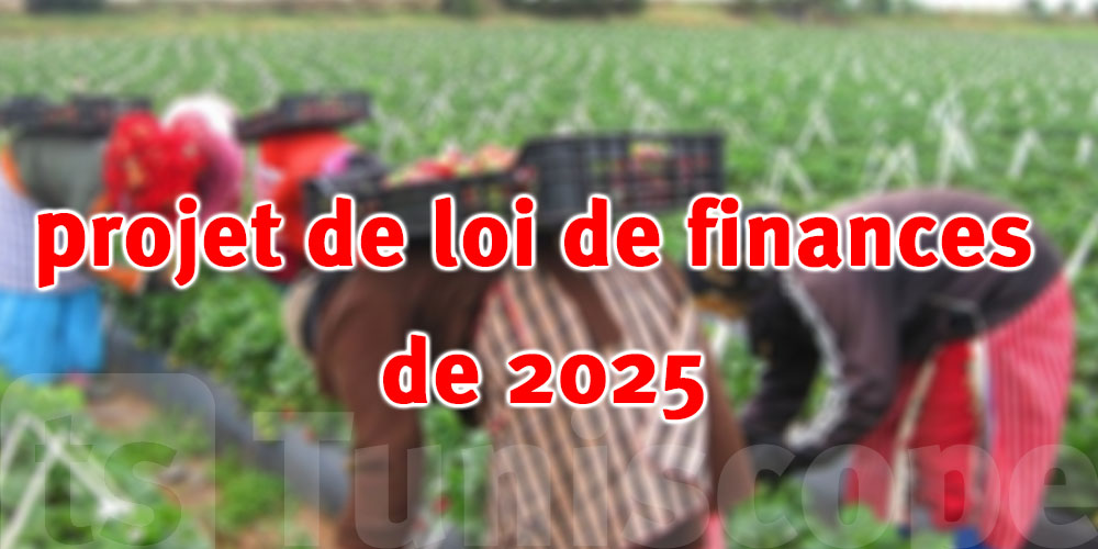 Projet de loi de finances 2025 : Création d’un fonds de protection sociale pour les ouvrières agricoles