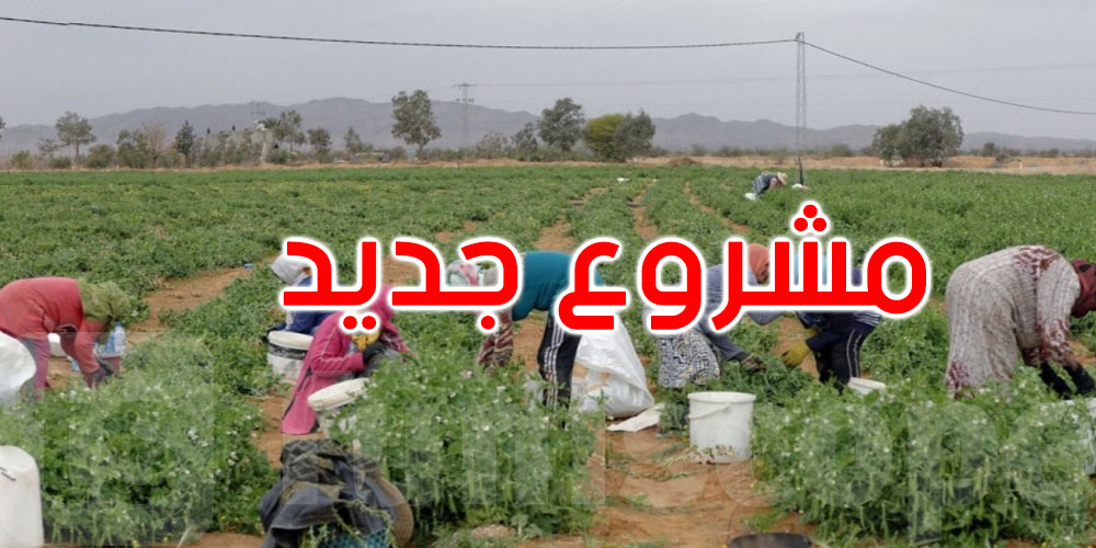 مشروع جديد في 6 ولايات لدعم ريادة الأعمال الفلاحية وتشغيل الشباب