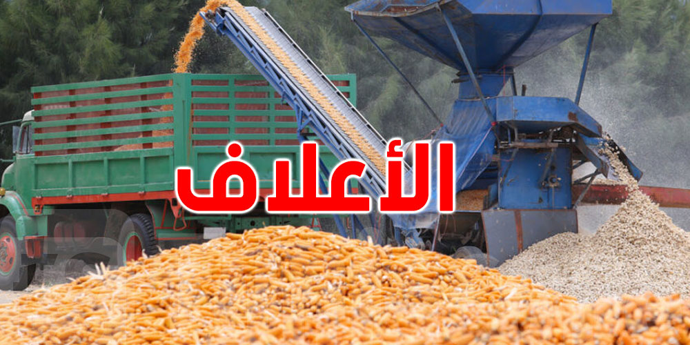 خبر يهمّ الفلاّحة: تخفيض في سعر الذرة العلفية ومساندة لمربي الدواجن