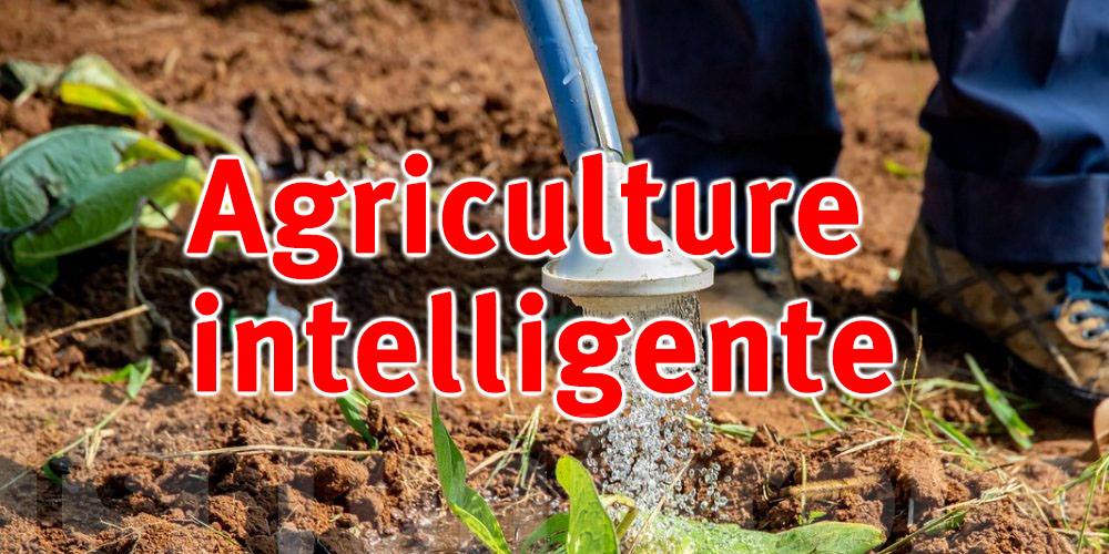 Lancement d’un projet d’agriculture intelligente à Dhehiba