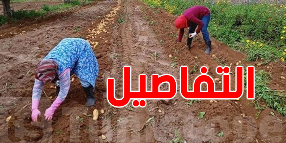 عاجل: مشروع قانون المالية يضمن قروضا لصغار الفلّاحين