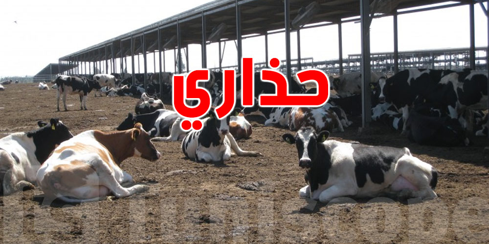 عاجل: وزارة الفلاحة تُحذّر خطر من داهم يهدّد الماشية
