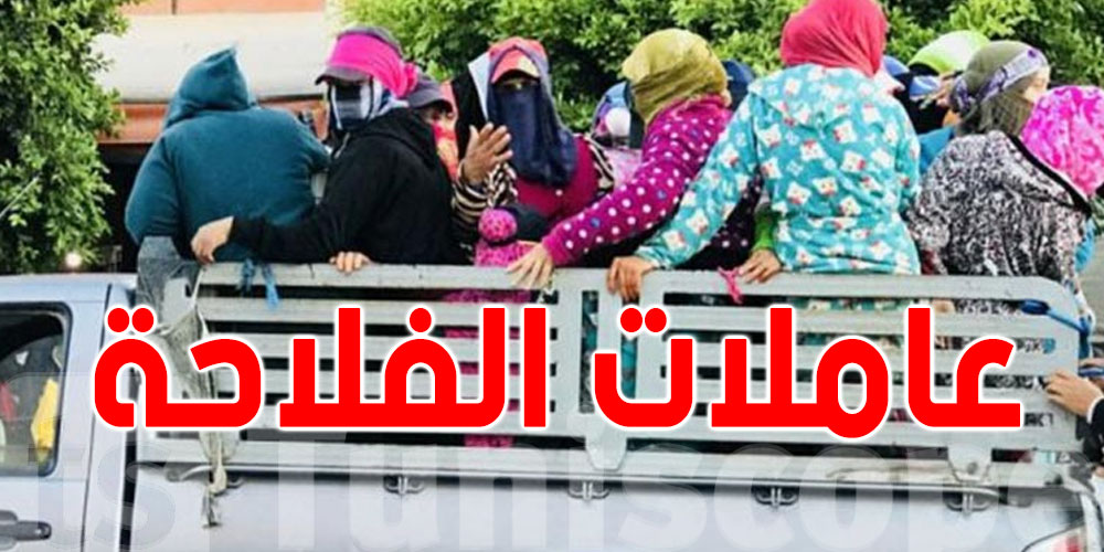 تعويضات عن الحوادث المهنية ضمن نظام الحماية الاجتماعية لعاملات الفلاحة