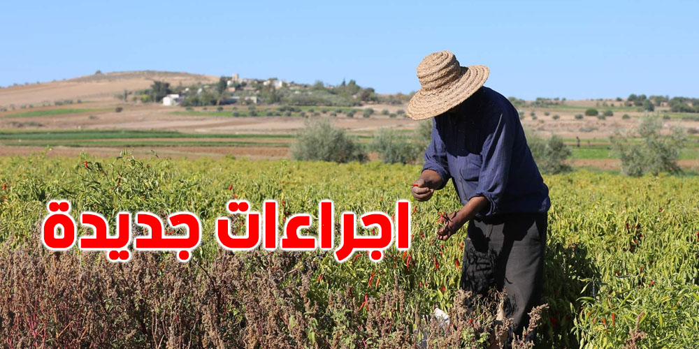 عاجل : خبر سار لصغار الفلاحين التونسيين ...اجراءات جديدة و هذه أهمها 