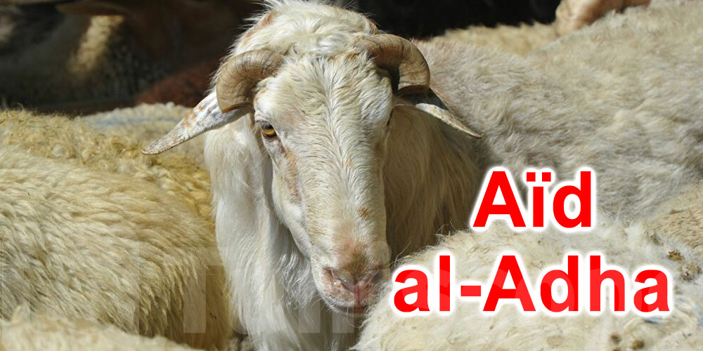 Aïd Al Adha 2026 : Séance d'audition à l'ARP sur les prix des sacrifices