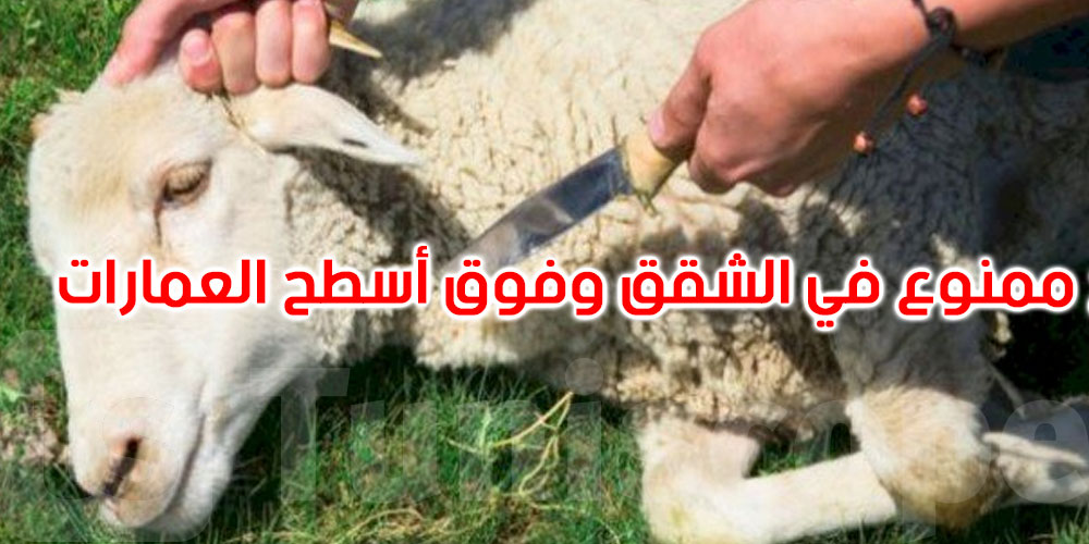 بلدية تونس: يمنع منعا باتا ذبح الأضاحي داخل الشقق وفوق أسطح العمارات