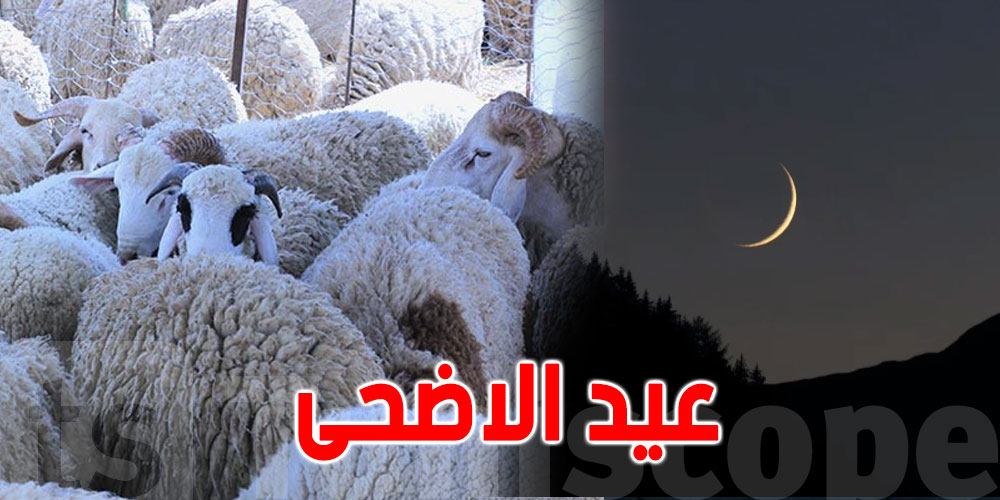 عاجل: الفلك الدولي يكشف موعد عيد الأضحى 2026 وتفاصيل رؤية هلال ذي الحجة 