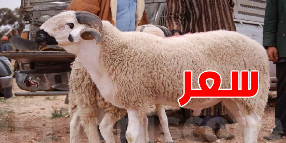 العيد الكبير : شنوا الجديد في سوم علوش ؟