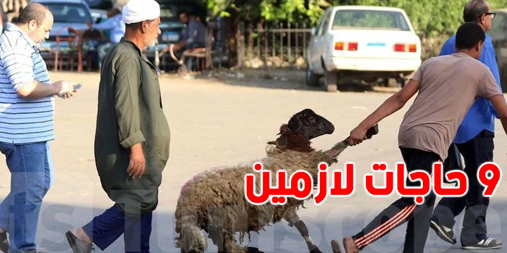 أهم 9 تحضيرات لعيد الأضحى المبارك