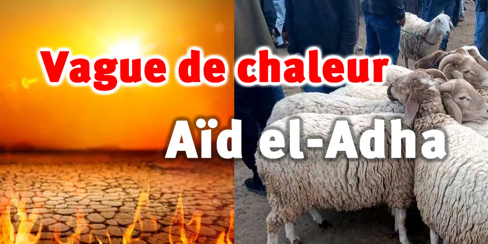 Vague de chaleur attendue en Tunisie pendant les vacances de l'Aïd el-Adha