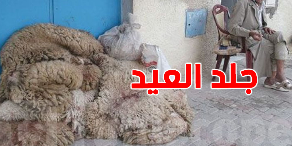 كيف تحافظ على جلد الأضحية في الطقس الحار قبل وصول البلدية؟